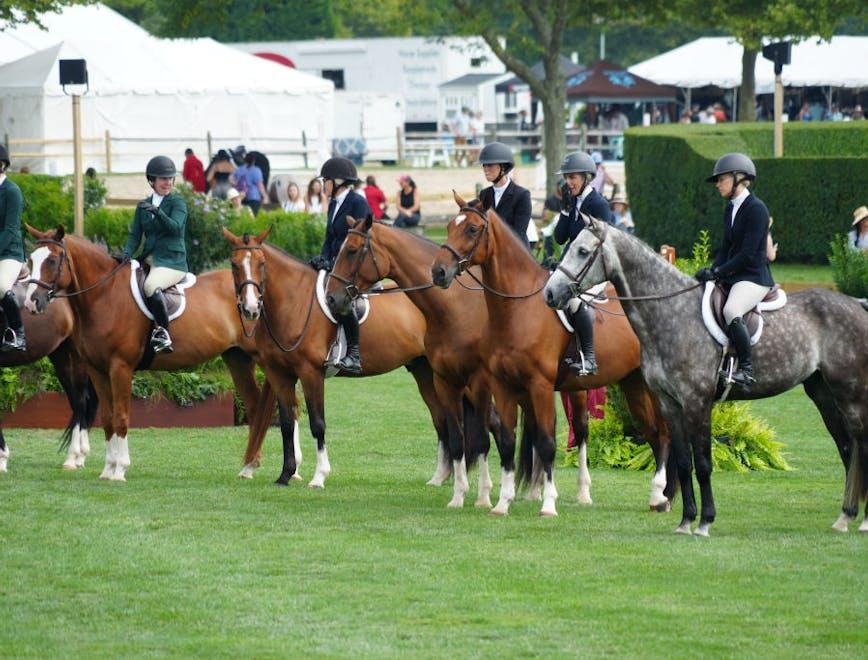 hampton classic horse show 2024 : celebrities at hampton classic 2024