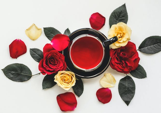 rose plant flower blossom tea beverage drink