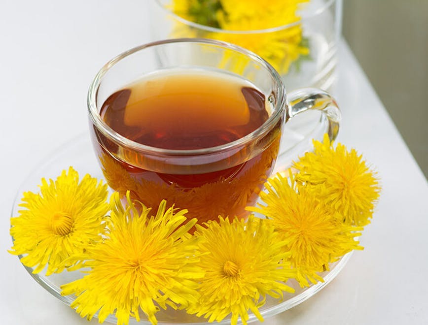 Light brown dandelion tea sits in a clear teacup behind a row of yellow dandelions.