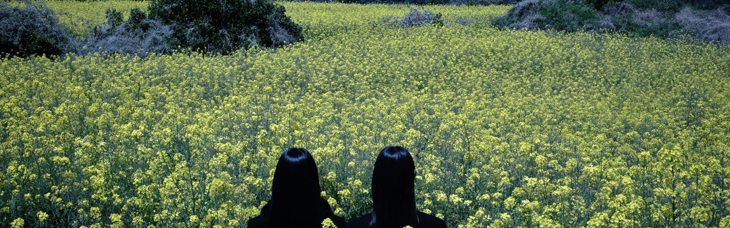 Daesung Lee Saint Laurent photo of people in flowers
