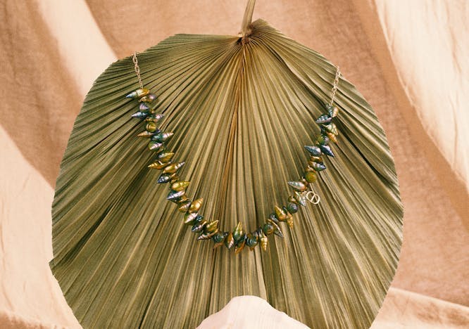 art handicraft invertebrate sea life seashell accessories jewelry necklace clam seafood