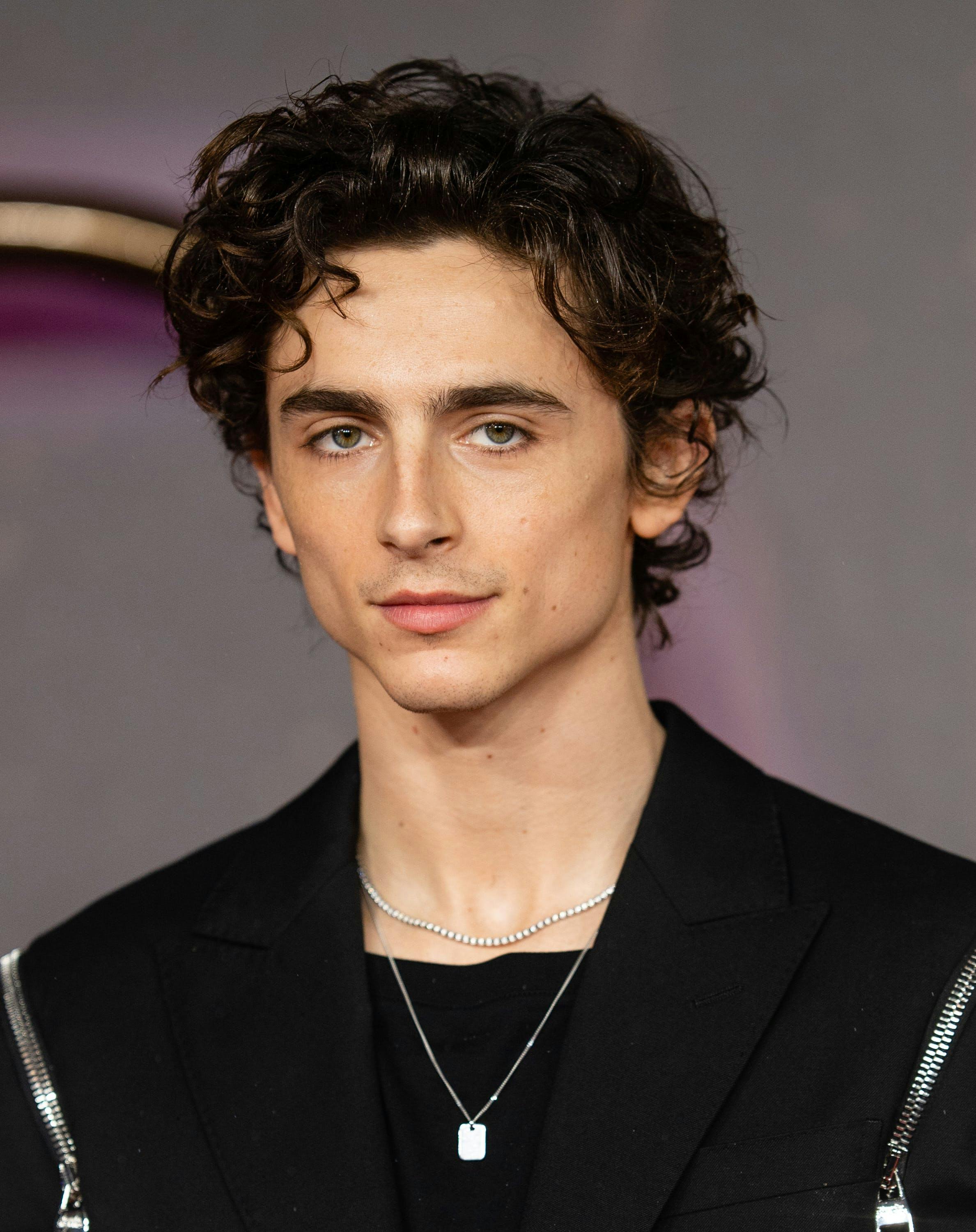 timothee chalamet in a black top looking at the camera