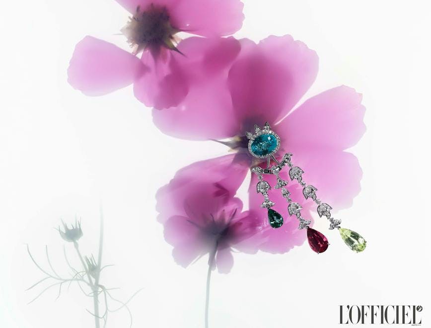 accessories jewelry flower plant geranium anemone